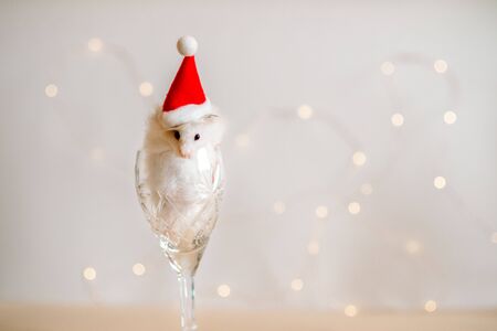 New Year card. Symbol of New Year 2020 - metal, silver rat. Cute rat with Christmas decorated tree and silver pineappleの写真素材