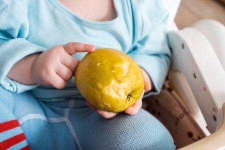 Baby eating fruit. Little girl biting apple sitting in white high chair in kitchen with window . Healthy nutrition for kids. Snack or breakfast for young child. Solid food for infant.の写真素材