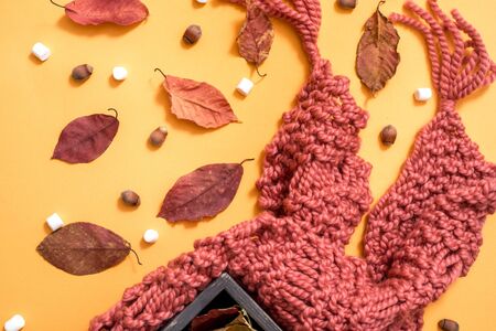 knitted brown scarf, marshmallow, sweets, nuts, golden cones and ingredients for making mulled wine. Bright dry autumn leaves on a yellow background. Cozy autumn concept. Top view. flat lay.の写真素材