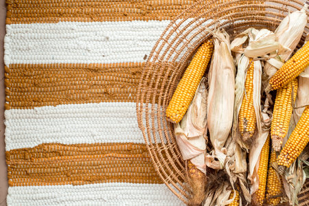 Dry corn, ear of corn. Yellow leaves in a wicker basket. Striped background, cotton knitted rug red...