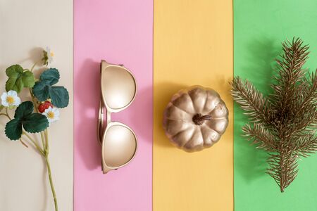 Creative season layout of summer, spring, autumn and winter leaves and flowers.の写真素材