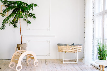 bright room with white walls. Exotic indoor plants. palm tree in the pot. modern lifestyle. home interior. Family cozy room.の写真素材