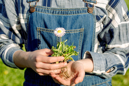 Female hands holding young plant in hands against spring green background. Ecology concept. Cute girl farmer in denim overalls. Planting vegetables and flowers.Earth Day. Aprilの写真素材