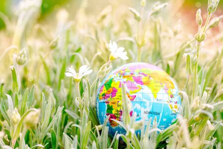 Earth globe on the grass. Save the nature. Enviroment. April 22 earth day theme.Summer day, concept of ecology and saving the planetの写真素材