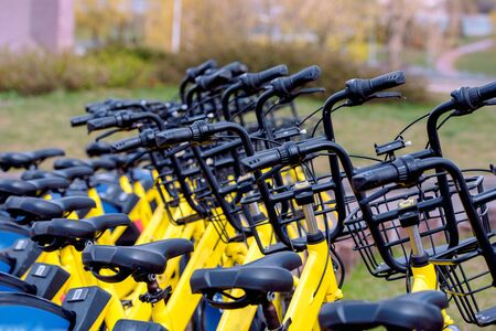 Bicycle sharing in Europe. A healthy walk. quick ride.World Cycling Day June 3 Sports bike.Healthy lifestyle and sport in the cityの写真素材