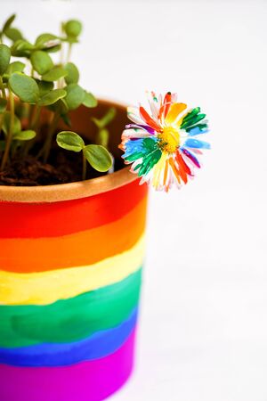 Multi-colored drawing by paints. potted rainbow, young sprouts, colorful flower.Multi-colored drawing by paints. bright card.Equality betwee. LGBT concept. lesbian gay , bisexual transsexualの写真素材