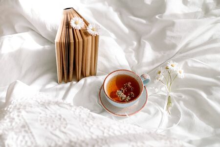 Openwork lace, cotton white blanket. book botany, mug with natural herbal tea made from mint, summer daisy flowers. Morning breakfast in bed. Provence retro style. Clean cosiness and freshnessの写真素材