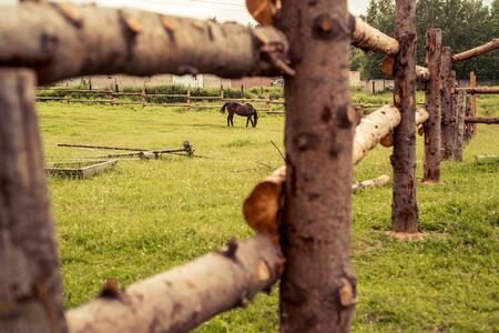 Life in the village. Wooden gate with an old deadbolt. Country fence. Nature in the summer at sunset. fields and pasture of cows and horse.の写真素材