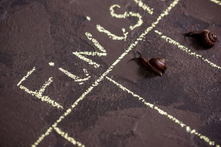 Speed, victory in sport. finish of racing snails.の写真素材