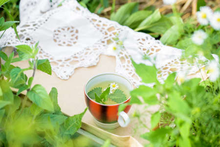 Cup of green tea with a mint leaf, flowers, in the garden. Natural herbal tea. Morning in the village of outdoors.Evening tea with cookies. currant branch, crop.Summer village conceptの写真素材
