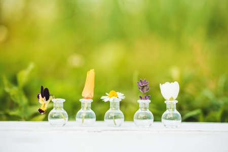 Bouquet of wildflowers on wooden.Summer flowers, Batanica on a white background. Pansies and Chamomile, Jasmine, Lavender and Helichrysium in glass flasksの写真素材