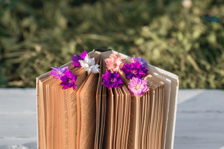 Violet flowers gelichrysum on a book. openwork knitted tablecloth on a wooden old table. evening in...