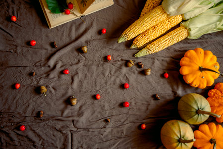Hello fall. Cozy autumn image. yellow pumpkins, acorns and berries, corn cob and squash on Dark...