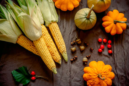 Hello fall. Cozy autumn image. yellow pumpkins, acorns and berries, corn cob and squash on Dark background. Happy Thanksgivingの写真素材