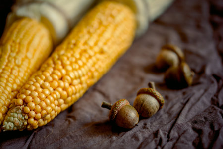 Ripe young corn cob with leaves on black background