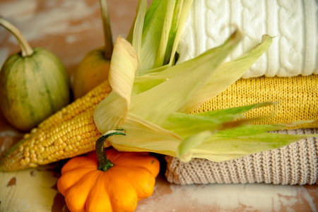 autumn corn on yellow knitted sweater . Cozy autumn atmospheric image. Happy Thanksgiving