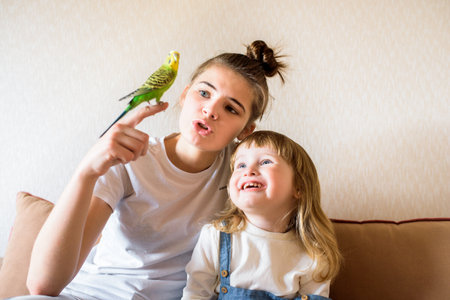 Happy children play with a parrot at the computertwo girls at home talking with a parrot. Pet. Budgerigar. online consultation of the vetの写真素材