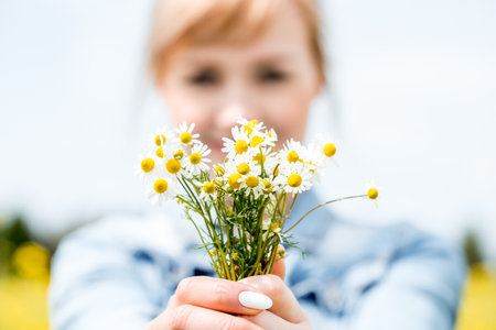 Female hands with beautiful chamomile flowers in spring field, closeup.Yellow sunny summer field. blurred defocus background.の写真素材