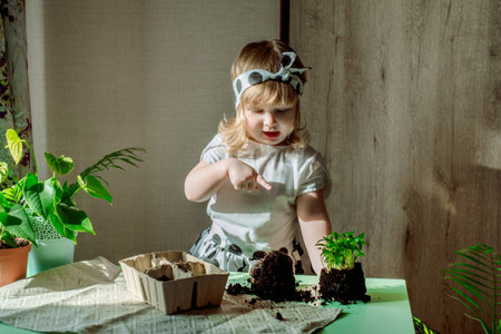 Cute little child girl is plants a houseplant in pot at domestic room.Care for indoor plants and flowersの写真素材