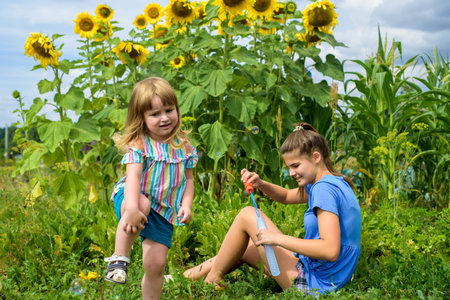 Two smiling happy children in sunflowers field laugh and blow bubbles. summer in the village.の写真素材