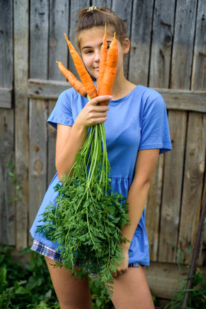 Cute smiling girl with a bouquet of carrots.on a wooden background. autumn in the village, the farmers harvestの写真素材
