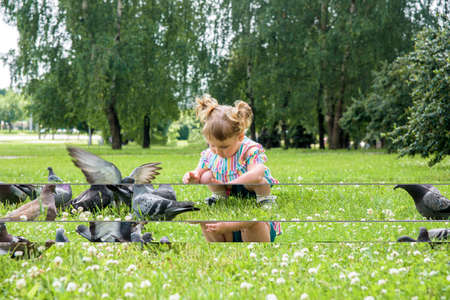 A little girl runs for pigeons.Baby Girl Chasing Pigeons In Outdoors City Park. cheerful happy childhood, runs laughing and screaming.の写真素材