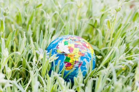 Earth globe on the grass. Save the nature. Enviroment. April 22 earth day theme. Summer day, concept of ecology and saving the planet.の写真素材