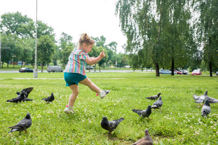A little girl runs for pigeons.Baby Girl Chasing Pigeons In Outdoors City Park. cheerful happy childhood, runs laughing and screaming.の写真素材