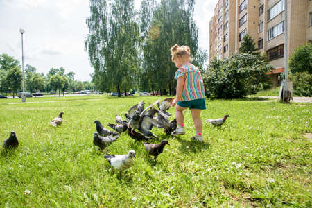 A little girl runs for pigeons.Baby Girl Chasing Pigeons In Outdoors City Park. cheerful happy childhood, runs laughing and screaming.の写真素材