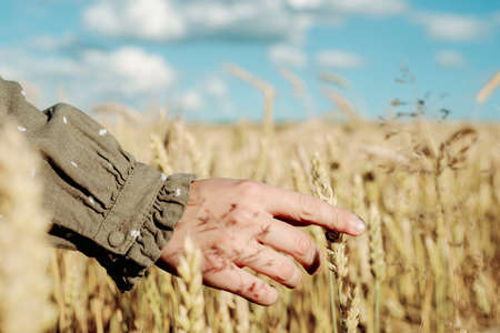young girl is dancing in a wheat field. Runs his hand over ears. Stands with his back. Hair flying in the wind, life style. emotionally spinning and jumping. freedom concept and hot summerの写真素材