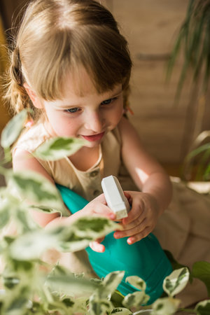 A cute baby girl takes care of houseplants. Girl watering and spraying indoor plants at homeの写真素材