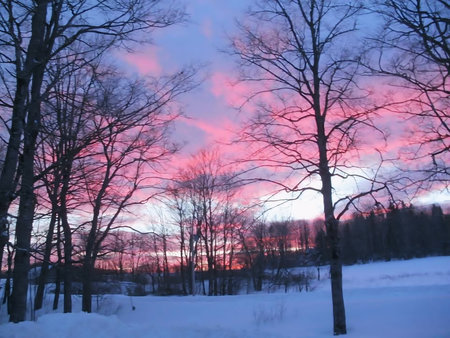 Sunset in the winter forest. Beautiful winter landscape with trees and sky.の写真素材
