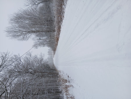 Winter landscape with road and trees covered with snow in the mountains.の写真素材