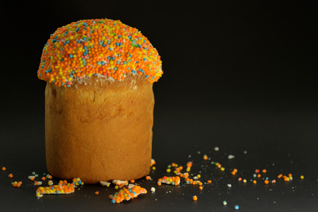 Easter cake with powder on a black background in a beam of light, among the sugar crumbs, with copyspaceの写真素材