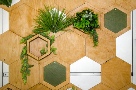 Wall decor, hexagonal wood panels, with plants inside them