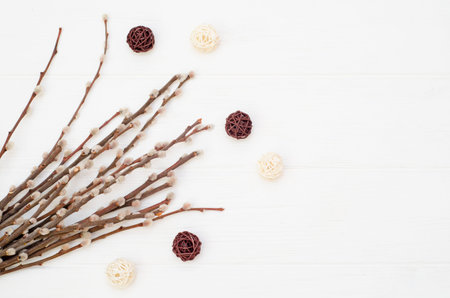 Flowering willow branches with fluffy buds and and rotang balls on a white background. Spring card...