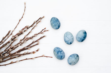 Flowering willow branches with fluffy buds and blue eggs on a white background. Spring card template...