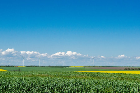 Wind farm and turbines in a yellow rapeseed field against a background of blue sky and beautiful...