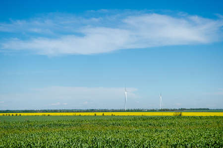 Wind farm and turbines in a yellow rapeseed field against a background of blue sky and beautiful white clouds, source of alternative energyの写真素材
