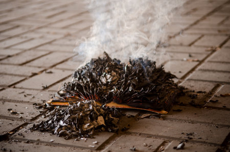 Paper book burns to ashes on concrete tiles, manuscript burns, open book with fireの写真素材