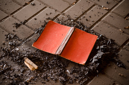 Paper book burns to ashes on concrete tiles, manuscript burns, open book with fireの写真素材