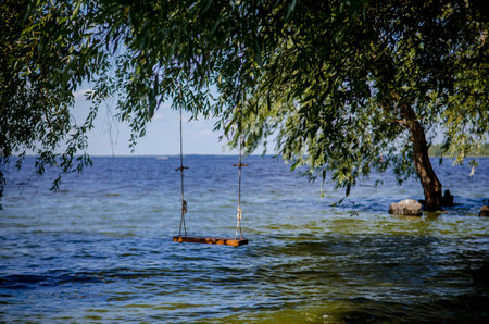 Homemade swing over water, made of rope and wood, tied to a tree, in summer, against the background of green leavesの写真素材