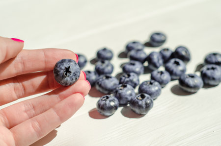 Fresh blueberry berries lie under the sunlight on a white wooden background. A female hand holds one berry. The topic of ecological, healthy and natural food, vegansの写真素材