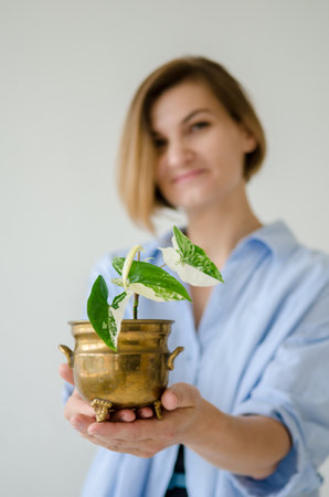 Young European woman in a blue casual shirt is holding a pot with a small indoor green plant against a white wall backgroundの写真素材