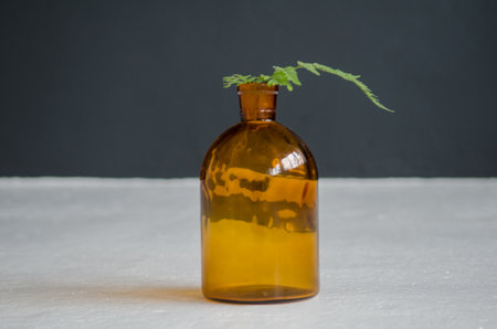 Leaf of green fern in orange transparent bottle, standing on a white and black background, side viewの写真素材