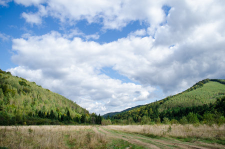 Beautiful slopes of the Carpathian Mountains in Ukraine, dotted with forests and bare valleys at the site of deforestation.の写真素材