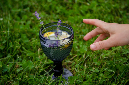 Female hand holding a large elegant blue glass filled with tea cocktail, lavender sprigs, ice and lemon on green grass in summer gardenの写真素材