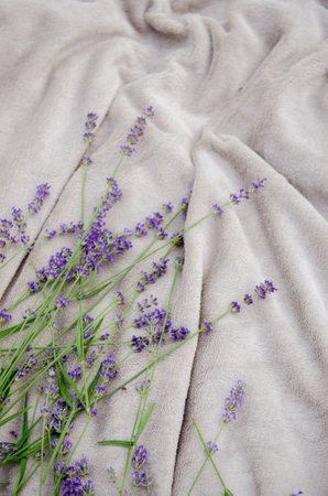 Soft gray blanket in the garden with sprigs of lavender on a picnic, background for cover or greeting cardの写真素材