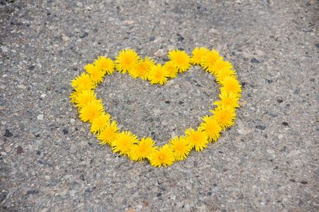 Symbol heart from dandelion on on asphalt road の写真素材