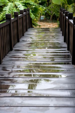 wooden bridge in tropical park on Hainanの写真素材
